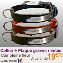 collier_chien_rivetes